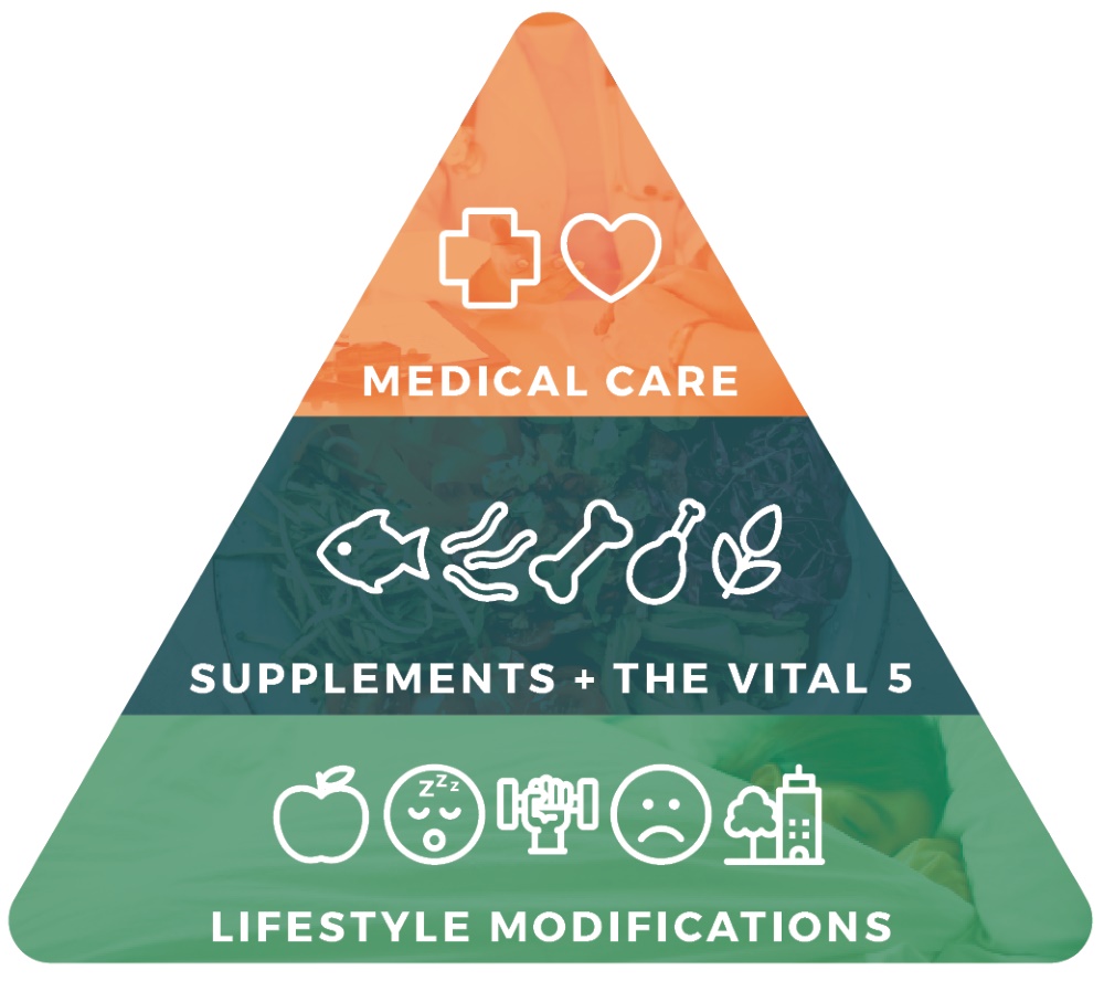 The Wellness Pyramid